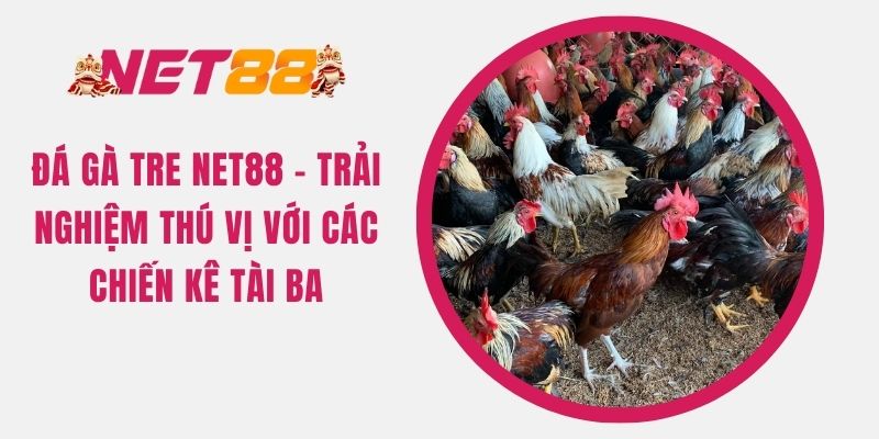 da-ga-tre-net88